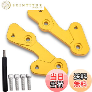 �y���������zLEDISHUN �o�b�N�X�e�b�v �A�W���X�^�[ 30mm �A�b�v 25mm �o�b�N �J���T�L ZX-25R(2020-2023) ZX-4R ZX-4RR (2023+)�ɓK�p �F�F�S�[���h