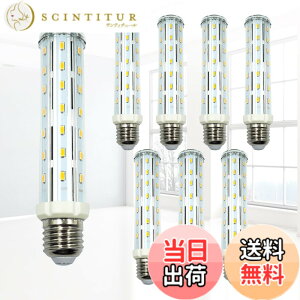 �y���������zlow watt led light bulbs �F�F15W WW DOUBLE