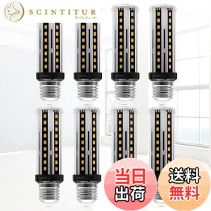 �y���������zlow watt led light bulbs �F�F10W WW DOUBLE