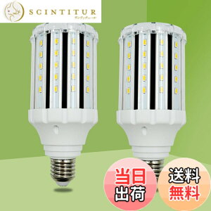 �y���������zlow watt led light bulbs �F�F25W WW DOUBLE