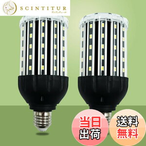 �y���������zlow watt led light bulbs �F�F25W WW BLACK DOUBLE