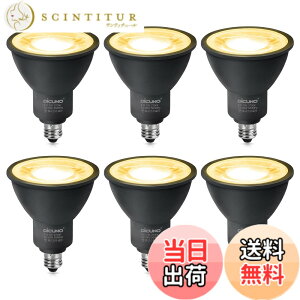 �y���������zDiCUNO LED�d�� E11���� �X�|�b�g���C�g 7W 75W�`�n���Q���d������ 800lm LED�X�|�b�g���C�g �L�p ���P�x �ȃG�l AC100V �������Ή� PSE�F�؍ς� �F�F�d���F�A�T�C�Y�F�u���b�N-6��