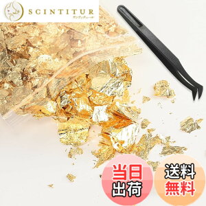 �y���������zBEIHOO ���� �w�A�p �����V�[�g �t���[�N 5g/10g/100�� �͑����� ������ ���l�� ������ ���Ǝ� �W�F���l�C�� �Z���t�l�C�� DIY�W���G���[ �H�|�i ���W�� ���p �G�� �����p �F�F����5g+