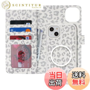 �y���������zMagsafe 2in1 Wallet for iPhone 14 �F�F���^��A�T�C�Y�FiPhone 14/ iPhone 13