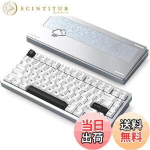 �y���������z�yWOBKEY Rainy75�L�[�{�[�h�z�J���̂悤�ȑŌ��� ���J�j�J���L�[�{�[�h 3WAY�ڑ� OS�݊��� �z�b�g�X���b�v��VIA�̑Ή� �J�X�^�}�C�Y�� �K�X�P�b�g�f�U�C�� �A���~�j�E���f�ގg�p RGB