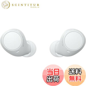 �y���������z�\�j�[(SONY) ���S���C�����X�C���z�� WF-C500/WF-C510 :/�����x�ʘb�i��/IPX4�h�H���\ �F�F�z���C�g�A�T�C�Y�F���^�y��