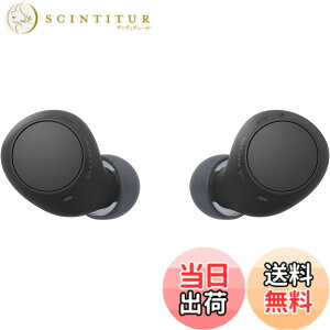 �y���������z�\�j�[(SONY) ���S���C�����X�C���z�� WF-C500/WF-C510 :/�����x�ʘb�i��/IPX4�h�H���\ �F�F�u���b�N�A�T�C�Y�F���^�y��