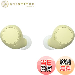 �y���������z�\�j�[(SONY) ���S���C�����X�C���z�� WF-C500/WF-C510 :/�����x�ʘb�i��/IPX4�h�H���\ �F�F�C�G���[�A�T�C�Y�F���^�y��