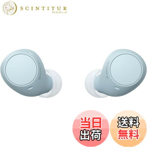 �y���������z�\�j�[(SONY) ���S���C�����X�C���z�� WF-C500/WF-C510 :/�����x�ʘb�i��/IPX4�h�H���\ �F�F�u���[�A�T�C�Y�F���^�y��