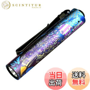 �y���������zACEBEAM Rider RX 2.0 �����d�� LED ���^ �y�� ���� ���邳�ő�1000���[���� �t���b�V�����C�g �P�O�Ή� IP68�h�� ����̎����^�сA�A�E�g�h�A�A�o�R�A�n�k�ЊQ�ȂǂɓK���Ă��܂� �F�F