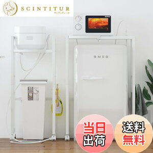 �y���������zLunarLight �S�~���ド�b�N ��40-60���s34����90cm ���@�\�����L�k�� �R���Z���g�t�� �L�b�`���c�[�����b�N �����W�� �I�[�y�����b�N �S�~�����[ �v�����g�䃉�b�N �����I���i��