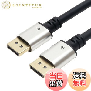 �y���������z�z�[���b�N Displayport�P�[�u�� �F�F�V���o�[�A�T�C�Y�F3m