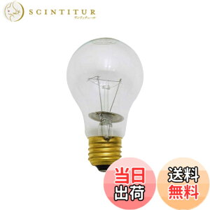 �y���������z���V(Takagi) EARTH MAN �ϐk�� �N���b�v���C�g �F�F�N���A�A�T�C�Y�F100W (�ϐk��) �N���A