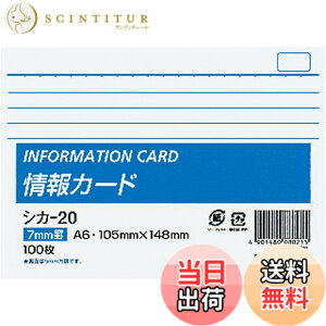 �y���������z�R�N�� ������ ���J�[�h ���r A6 100�� �V�J-20 �F�F���r�A�T�C�Y�FA6�E���R