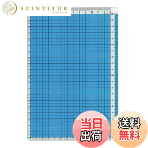 �y���������z���h�v���X�`�b�N �J���[���ቺ�~ A5�� cPK�|A5�| �F�FB�@�u���[�A�T�C�Y�FA5