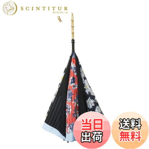 �y���������zCARRY saKASA (�L�����[�T�J�T) Advance Style (�A�h�o���X�X�^�C��) �G��Ȃ��P �t�܂莮�P �t���P �f�U�C�� ������� ���� �F�F���_���f�C�W�[�E�u���[�A�T�C�Y�F���a100cm