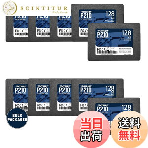 �y���������zPatriot P210 Parent Solid State Drive SSD �F�F�u���b�N�A�T�C�Y�F128GB 10 Pack Bulk Packaging
