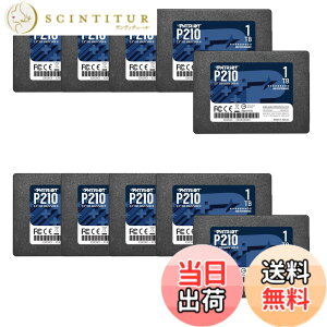 �y���������zPatriot P210 Parent Solid State Drive SSD �F�F�u���b�N�A�T�C�Y�F1TB 10 Pack Retail Packaging