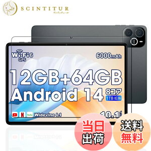 �y���������zKEY2 �t�B���� �F�F�����ł��A�T�C�Y�FLZ1-bh25�y1���zFor Wpawa HT10-A