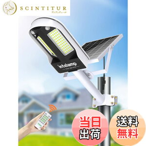 �y���������zintelamp �\�[���[�X�� �l���Z���T�[ 6500K�����F �Ɩ� �F�F�u���b�N���z���C�g�A�T�C�Y�F13P10