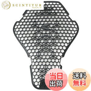 �y���������zRS�^�C�`(RS TAICHI) �o�b�N�v���e�N�^�[ CE���x��2 �w�����N�X CE (LV.2) �F�F�u���b�N�A�T�C�Y�F40(S�EM�EL)