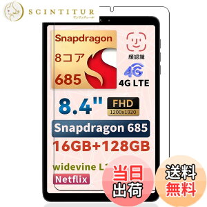 �y���������zKEY2 �t�B���� �F�F�����ł��A�T�C�Y�FLZ1-bh34�y1���zFor BNCF Bpad Mini