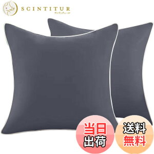 �y���������zATOKA �N�b�V���� ���g �N�b�V�����{�� ���� �ׂ�Ȃ� �_�炩�� �k�[�h �\�t�@�[ �ې􂢉\ ������ �F�F�O���[�A�T�C�Y�F45x45cm�i2�Z�b�g�j