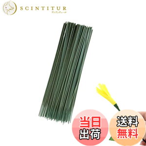 �y���������zDEVENTORZ ���ԃZ�b�g �t�����[���C���[ �� ���� ���p�e�[�v �ԉ� �ԑ� �s�����p DIY ��|�ޗ� �A�N�Z�T���[ �F�F�O���[���A�T�C�Y�F����25cm�A���a2mm�A����1.2cm�A����28m