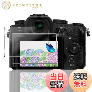 �y���������z�Ή� �K���X�t�B���� + �J�����t�B���� �y�d�x9H�z �����K���X Touch�Ή� �A��U�h�~ �A�Ռ��z�� �A�w��h�~ �A�ȒP�\��t�� �F�F�N���A�A�T�C�Y�F�Ή� Panasonic LUMIX S1RII / G99II / GH7