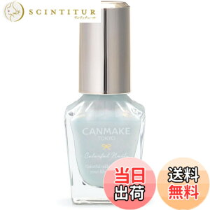 �y���������z�L�������C�N �J���t���l�C���Y �F�FN113 �e���_�[�u���[�Y