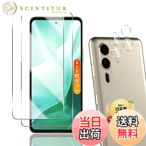 �y���������zTempered Glass Protector �F�F����A�T�C�Y�F�Ή� arrows We2 Plus F-51E