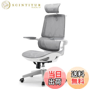 �y���������zSIHOO M102C �I�t�B�X�`�F�A �Ɨ��������o�[�T�|�[�g �֎q �f�X�N�`�F�A 3D���ˏグ���A�[�����X�g �f�X�N�`�F�A �l�ԍH�w �`�F�A �e�����[�N ���Ȃ� M102C (�O���[) �F�F�O���[