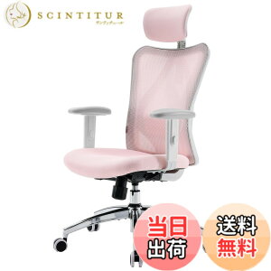 �y���������zSIHOO M57 ���b�V���I�t�B�X�`�F�A �n�C�o�b�N �l�ԍH�w�֎q S�����̔w������ 3D�A�[�����X�g �ʋC�� ���[�N�`�F�A ���b�L���O�@�\ �����o�[�T�|�[�g�����\ ���N���C�j���O ��