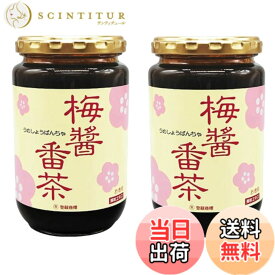 【送料無料】お得な2個セット!!　梅醤番茶 360g x 2個