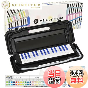 �y���������zKC �L���[���c ���Ճn�[���j�J �����f�B�s�A�m 32�� P3001-32K �F�F�u���b�N/�u���[�A�T�C�Y�F1�� (x 1)