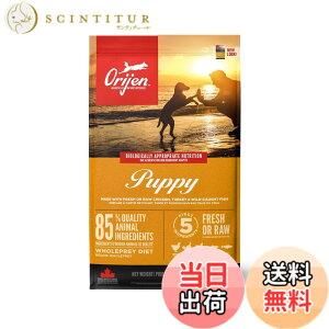 �y���������z�y���K�i�z�J�i�_�Y �I���W�� �p�s�[ 11.4kg Orijen dogfood puppy �F�F���R�H�A�T�C�Y�F11.4�L���O���� (x 1)