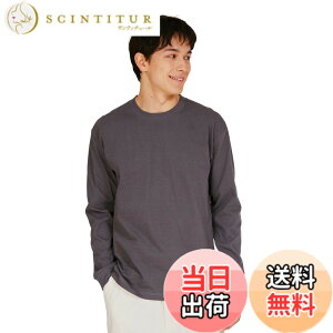 �y���������zHanes �r�[�t�B�[ �����O�X���[�u T�V���c ����T ���� 1���g Beefy-T ��100% �������n ���nH5186�����Y �F�F�_�[�N�O���[�A�T�C�Y�FL