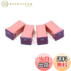 �y���������zuxcell PAL�q���[�Y 32V 30A �s���N �v���X�`�b�N �P�[�V���O 2�[�q ���X PAL�I�[�g�p �ԗp 4����