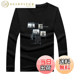 �y���������zBUZZxSELECTION(�o�Y �Z���N�V����) T�V���c ���� ����T �J�b�g�\�[ �C���i�[ ������� �J�W���A�� �����Y TSL031 �F�F02 �u���b�N�A�T�C�Y�FXL