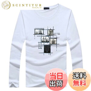 �y���������zBUZZxSELECTION(�o�Y �Z���N�V����) T�V���c ���� ����T �J�b�g�\�[ �C���i�[ ������� �J�W���A�� �����Y TSL031 �F�F01 �z���C�g�A�T�C�Y�FL