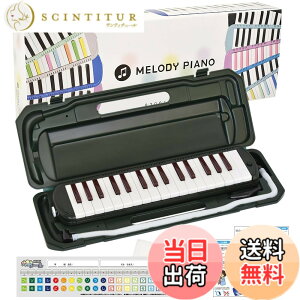 �y���������zKC �L���[���c ���Ճn�[���j�J �����f�B�s�A�m 32�� P3001-32K �F�F���X�O���[���A�T�C�Y�F1�� (x 1)