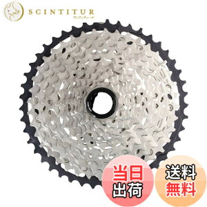 �y���������z�V�}�m(SHIMANO) CS-M7100 12S 10-45T 024681482605 ICSM7100045 �F�F�V���o�[�A�T�C�Y�F10-45T