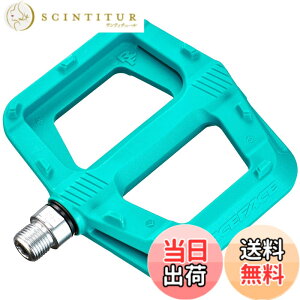 �y���������zRaceFace �y�_�� RIDE TURQUOISE�i1�y�A�j �F�F�u���[�A�T�C�Y�F��