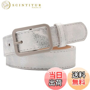 �y���������zWHITE FANG(�z���C�g�t�@���O) ���U�[ �x���g ���� �X�N�G�A�^ �J�W���A�� �r�W�l�X �X�[�c ���f�B�[�X BT169 �F�F01:�V���o�[�A�T�C�Y�F�T�C�Y