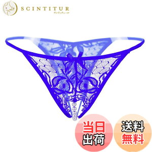 �y���������zBUZZxSELECTION(�o�Y �Z���N�V����) ���f�B�[�X T�o�b�N �p���c �V���[�c �p�[���t�� �Z�N�V�[ ���[�X ���� TV061 �F�F04 �u���[�A�T�C�Y�FFree Size