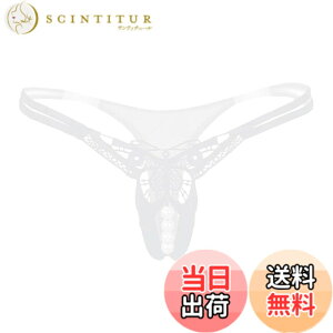 �y���������zBUZZxSELECTION(�o�Y �Z���N�V����) ���f�B�[�X T�o�b�N �p���c �V���[�c �p�[���t�� �Z�N�V�[ �o�^�t���C ���� TV065 �F�F05 �z���C�g�A�T�C�Y�FFree Size
