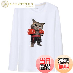 �y���������zBUZZxSELECTION(�o�Y �Z���N�V����) T�V���c ���� ����T �J�b�g�\�[ �g�b�v�X �L �L���b�g �A�j�}�� �����Y TSL039 �F�F02 �z���C�g�A�T�C�Y�FS