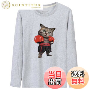 �y���������zBUZZxSELECTION(�o�Y �Z���N�V����) T�V���c ���� ����T �J�b�g�\�[ �g�b�v�X �L �L���b�g �A�j�}�� �����Y TSL039 �F�F03 �O���[�A�T�C�Y�FL