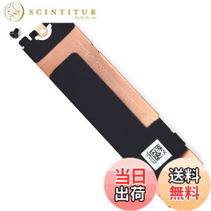 �y���������z�X���b�g1 M.2 SSD�n�[�h�h���C�u�q�[�g�V���N�J�o�[ �T�[�}���t�� Dell xps 15 9530 9520 9510 9500�ADell xps 15 9530 9520 9510 SSD �q�[�g�V���N P/N:0130R6 130R6 06N16 6N16 SS�p D-L �F�FSSD-L�B
