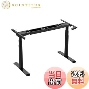 �y���������zFLEXISPOT �X�^���f�B���O�f�X�N �d�������~�f�X�N E8 �������� �l�ԍH�w �Q�[�~���O�f�X�N �p�\�R���f�X�N �F�F���i���j�A�T�C�Y�F�V�Ȃ�